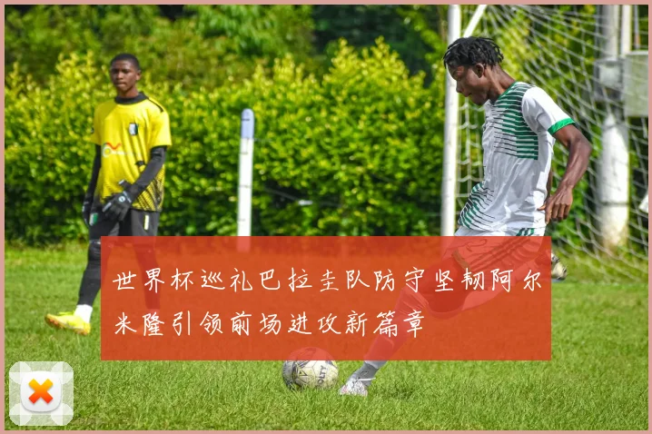 世界杯巡礼巴拉圭队防守坚韧阿尔米隆引领前场进攻新篇章