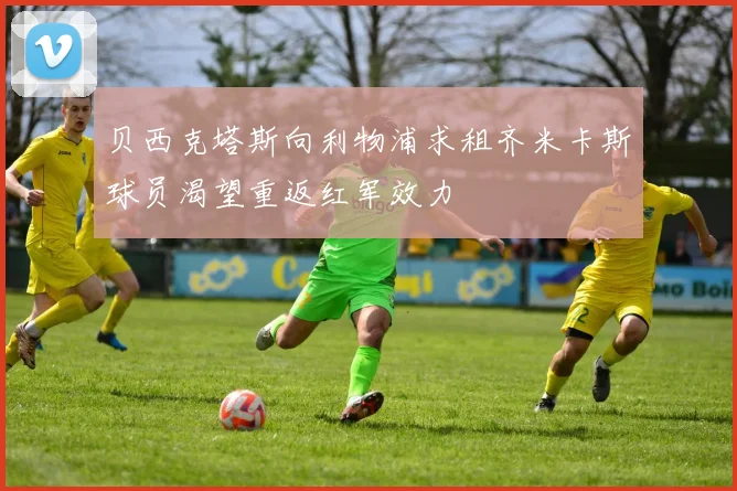 贝西克塔斯向利物浦求租齐米卡斯球员渴望重返红军效力